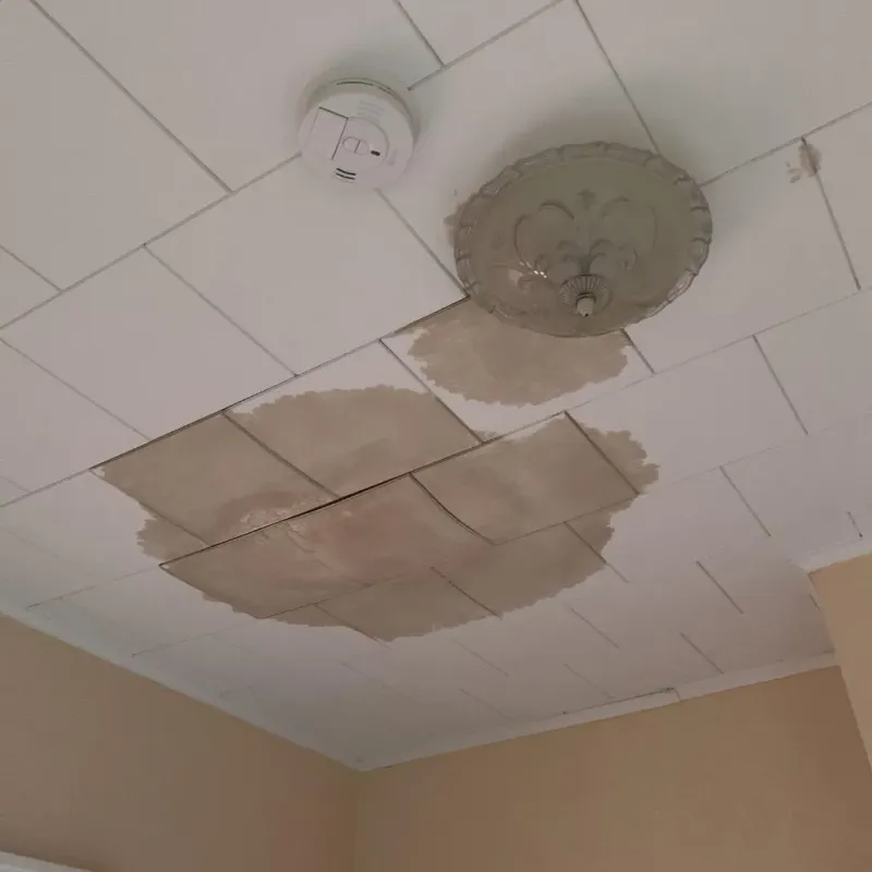 Ceiling Water Damage Repair in Newington, CT