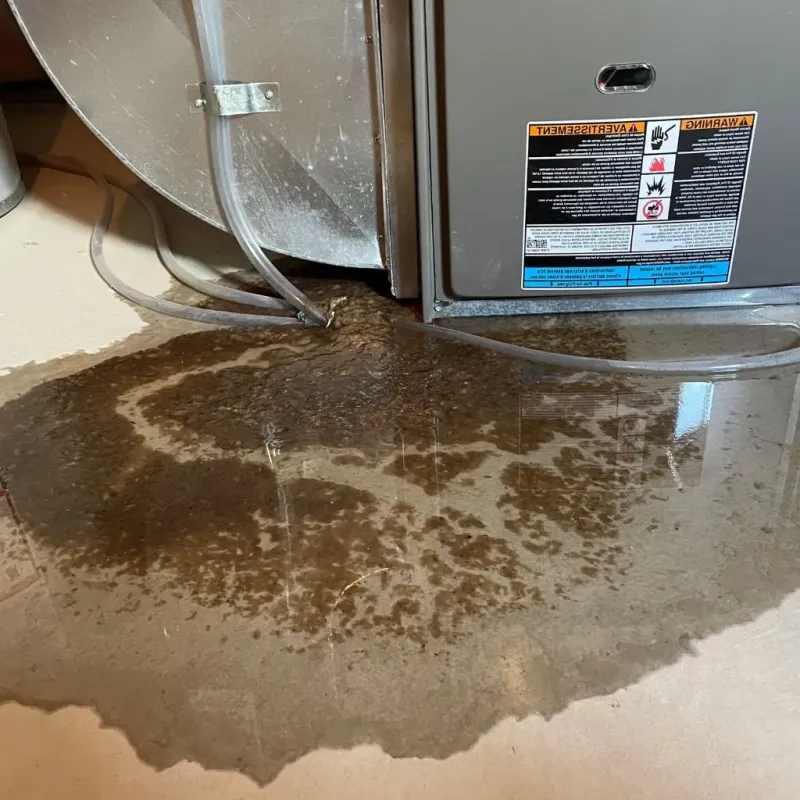 Pipe Burst and Leak Restoration in Newington, CT